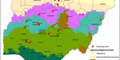 Bản đồ của nigeria đang ở cây phân phối