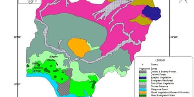 Bản đồ của nigeria đang ở thảm thực vật