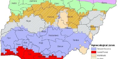 Vẽ bản đồ của nigeria đang ở các khu vực thực vật